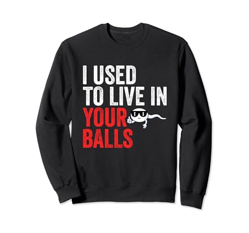I Used To Live in Your Balls Funny Father's Day Sweatshirt