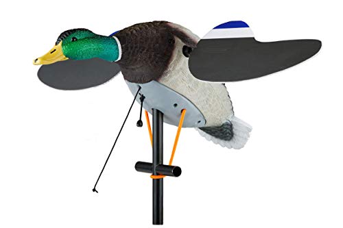 Lucky Pull String #TOP28