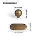Goo-Ki 1.0''(24mm) Dia Cabinet Knob with Backplate,Antique Brass Drawer Knobs with Zinc Alloy Material,6 Packed