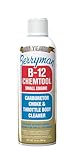 Berryman Products B-12 0110 Chemtool Carburetor, Choke and Throttle Body Cleaner Not VOC Compliant in Some States, 10 oz., Pack of 1
