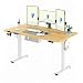 FLEXISPOT Scrivania Regolabile in Altezza 160 * 60 cm, Tastiera con Memoria, Con Gancio, Standing Desk Scrivania Motorizzata