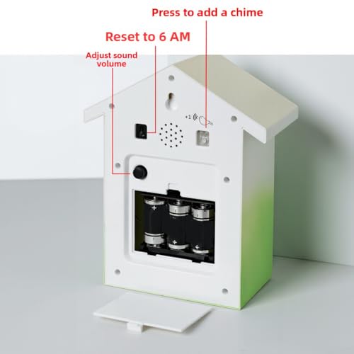 Reloj de cuco moderno para decorar la pared de la sala de estar 5