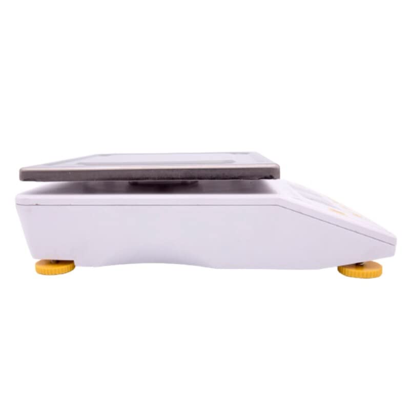 Factory Laboratory Digital Weighing Scale