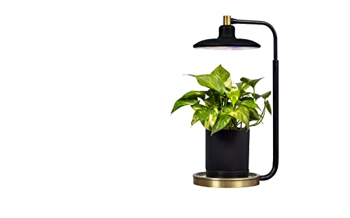 AeroGarden Tabletop Grow Light for Indoor Plants,...