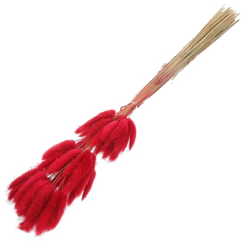 Decoración con flores secas SEWACC hierba cola de conejo roja miniatura 1