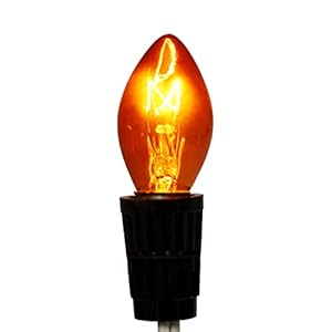 Creative Hobbies® Transparent Orange C7 Light Bulbs - 7 Watt, Steady Burning, Candelabra Base - Ideal for Halloween Pumpkin Lights & Christmas | Box of 25 Creative Hobbies Transparent Orange C7 Light Bulbs 7 Watt Steady Burning Candelabra Base Ideal for Halloween Pumpkin Lights Christmas Box of 25