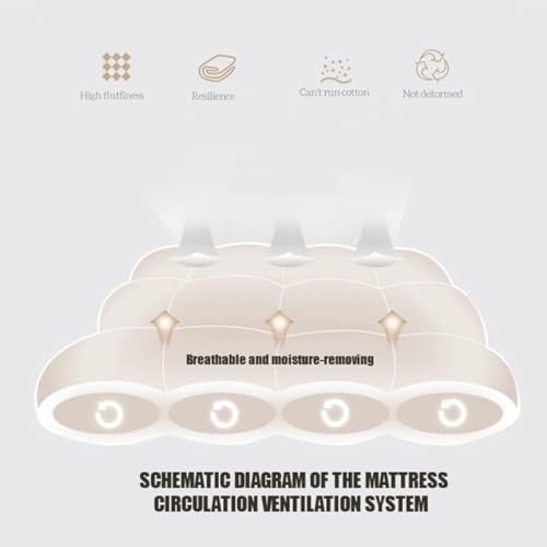 Matelas de couchage pour dortoir avec structure pliable haute densité - 6