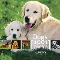 Dogs 1001 Photos (Cubebooks)
