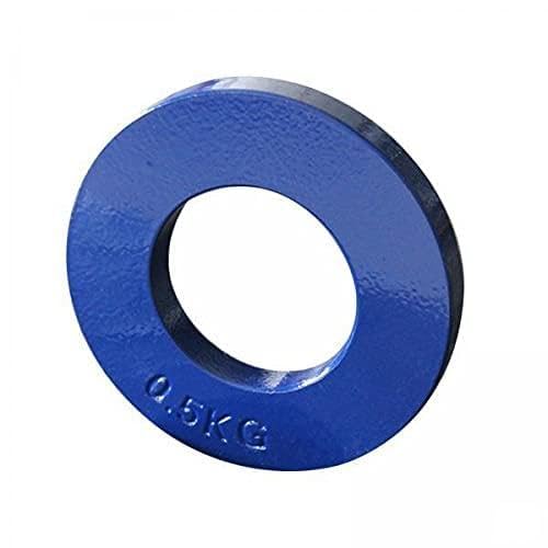 2pcs Steel Fractional Weight Plate Micro Plates Weights Blue 0.5kg | Sporting Goods | Fitness Running & Yoga | Strength Training | Weight Plates-image-28