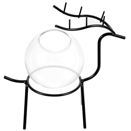 Veemoon Vase Verre pour Fleurs avec Support Pot Décoratif Hydroponique Moderne pour Bureau et Salon Vase de Table et Élégant