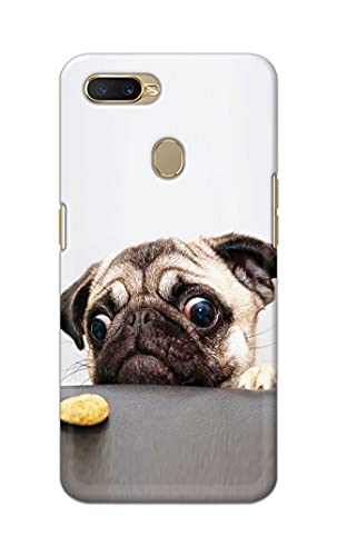 Image of PRINTFIDAA� Printed Hard Back Cover Case for Oppo A7 | Oppo A5s | Oppo A12 | Oppo A11k | Oppo A12s Back Cover (Pug Dog) -2808