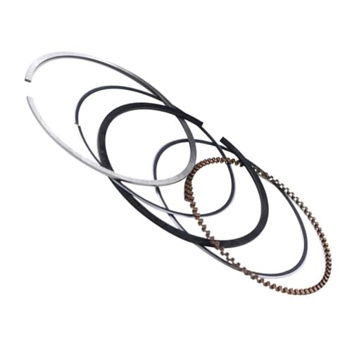 I[goCpV_[{ATCY 66 66.25 66.50 67mm sXgOLbg DF200 DR200SE DR200 DR200S RV200 VanVan RV DF 200ɓK ꕔ(Ring 67 mm)