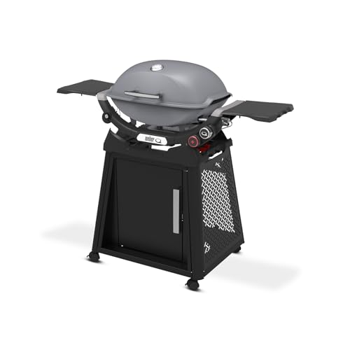 Weber Q 2800N+ Liquid Propane Grill with Stand, Smoke Grey