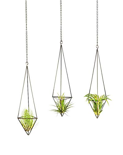 Mkono 3 Pack Hanging Air Plant Holder Himmeli for Tillandsia Display Gemometric Planter