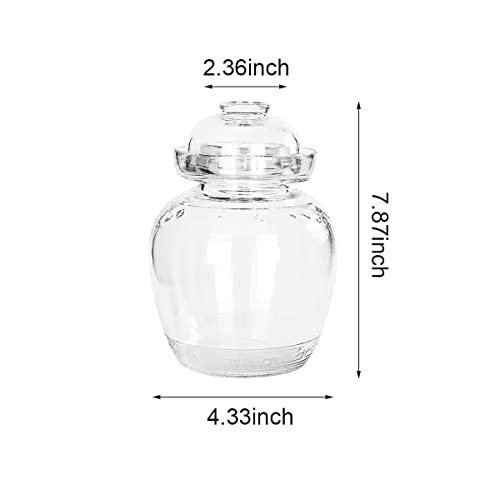 Aosnttol 1.5L Fermentation Kimchi Jar