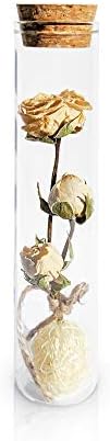 Saaqi Preserved Rose Dried Flower Eternal Rose Centerpiece Decoration Glass Gift, Birthday, Mother's Day, Valentine's Day, Anniversary, Wedding, Party (White Rose)