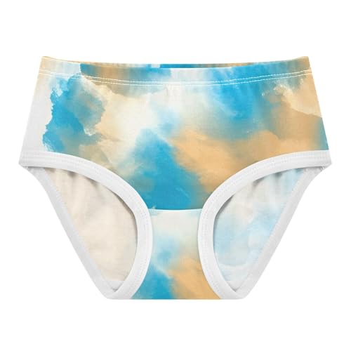 Fancy Toddler Underwear Floral 2t Cotton Little Girl Panties Abstract Brush Strokes Blue Kids Undies Briefs