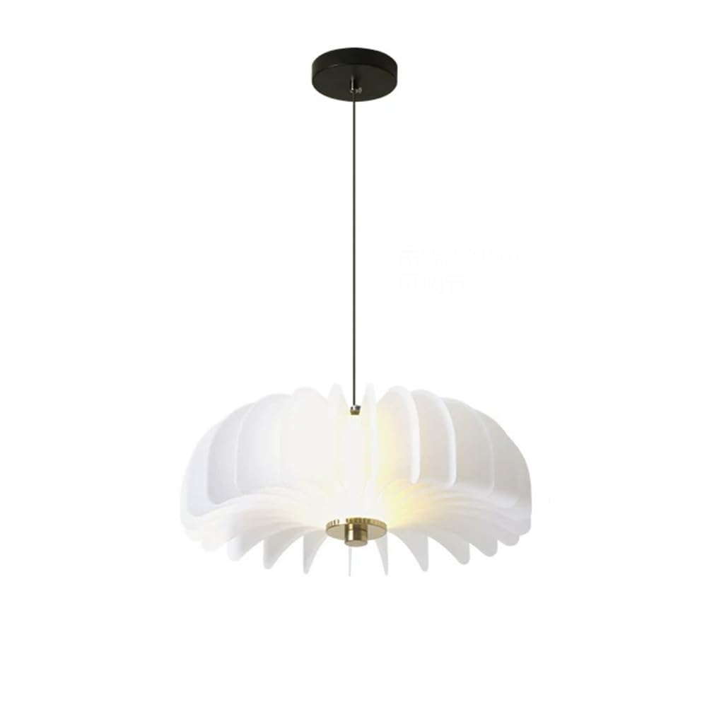 RSZCSMO Modern Minimalist Restaurant Chandelier Nordic Bedroom Study Acrylic Creative Chandelier, Suitable for Bar Cafes, Hotels and Clothing Stores, Lighting Fixture.