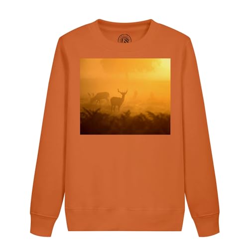 Sweatshirt enfant biche et faune de l'aube aux finitions soignées et durables