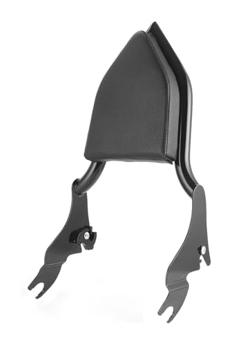 Coussin de dossier passager arrière amovible de qualité supérieure pour Touring