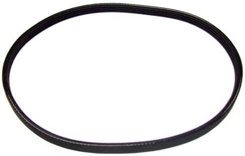 BerkelRIBBED BELT 402375-00141