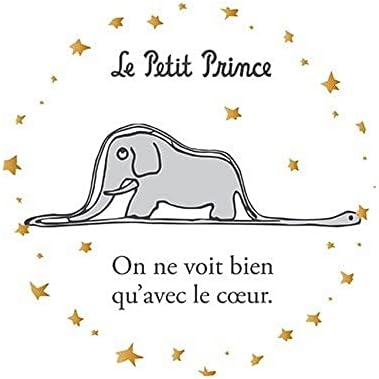 Imán Decorativo Kiub El Principito, Elefante y Serpiente (55mm)