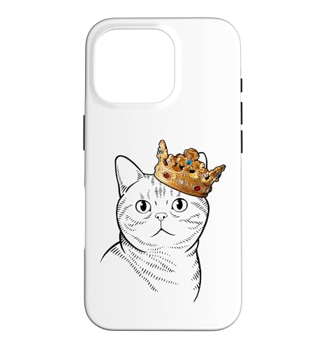 �A�����J���V���[�g�w�A�̔L�����������Ă��܂��B �X�}�z�P�[�X iPhone 16 Pro �p