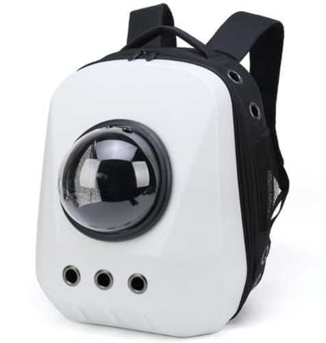 ybgbN ^L [h Xy[XJvZ LXyʃybgobO ^obO L ybgV_[obO ʋCJvZ LobO n[hP[X ^L (zCg)