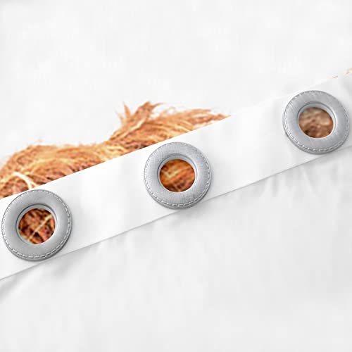 Highland - Tende per finestre a nido d'ape, motivo...