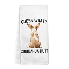 Chihuahua