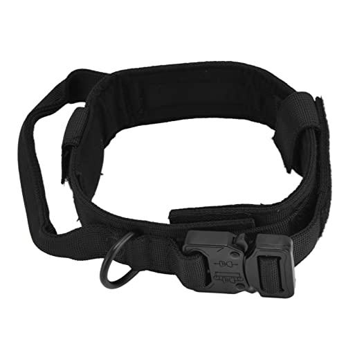 p gNVhbOJ[ obNt iCACAg[jOneBO AEghApybgANZT[ (LTCY) ()