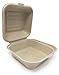 100% COMPOSTABLE 6 x 6 Take Out Food Container (50 Count) Made from Wheatgrass Bagasse, MR. Green Guys, Heavy Duty 6" Clamshell Togo Container