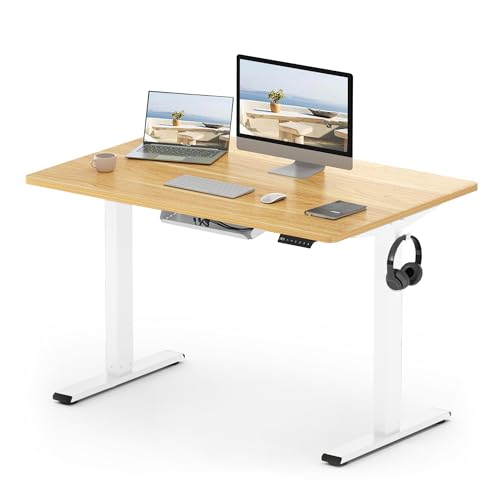 FLEXISPOT E1 Plus Electric Standing Desk Height Adjustable for Home Office