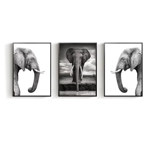 Décoration murale moderne maison affiches animaux vintage rétro 3 toiles