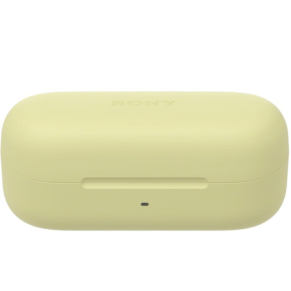 Amazon.com: Sony WF-C510 Truly Wireless Earbuds with 22-Hour