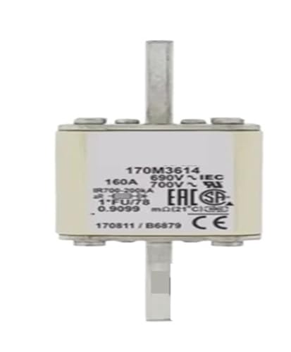 Fusible 170M3619 et 170M3620 corps carre pour armoire electrique T1
