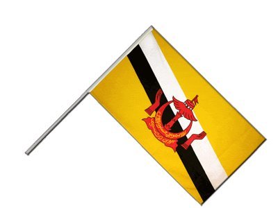 Drapeau Brunei sur hampe 60x90 cm Digni pour pavoisement officiel