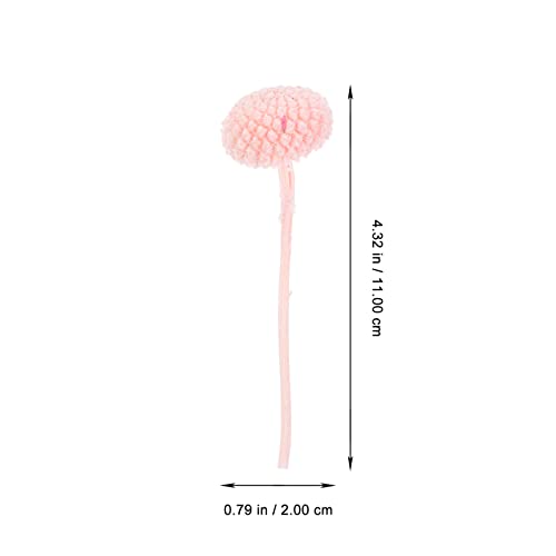 Flores prensadas secas naturales para manualidades miniatura 6