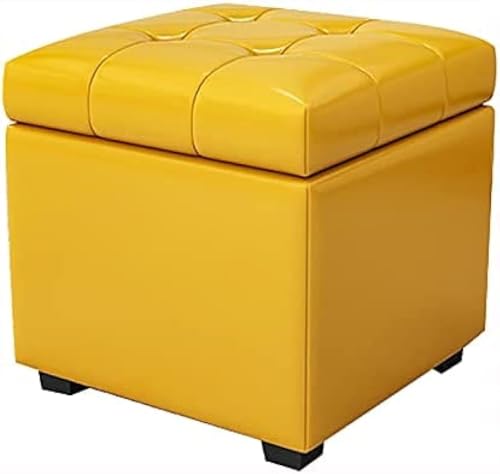 Pouf élégant et solution de rangement salon chambre ZH1YFD