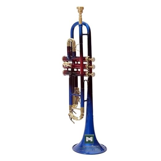 Trumpet Bb Pitch With Accessories Including Mouthpiece & carry case. (Multicolor)