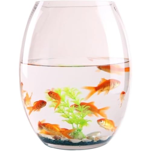 Nizzvlo  ی^  ~`̔ KX e[u  ^[g^N z[fXNgbv̑i  ϗtA ƒp ԕr  琅 (a15cm)