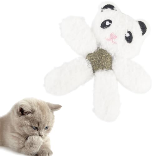 Gavpepy LbgjbvtL qL  pi ދȋ~ ӂӂ̃LeB̎ | ޔLD C^NeBuȂʂ݃Mtg(p_)