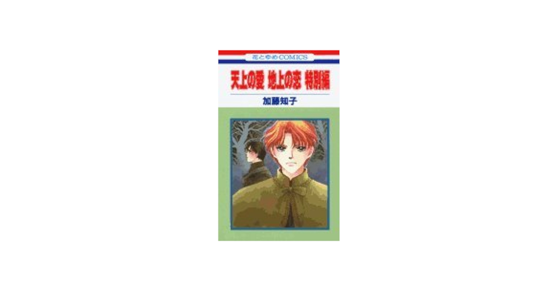 Amazon.co.jp: 天上の愛地上の恋 特別編 (花とゆめCOMICS