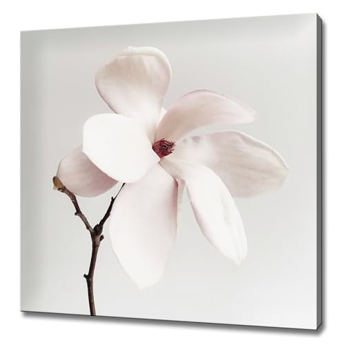 Tableau magnolia blanc 20x20cm lianyibo toile imprimée moderne sans cadre