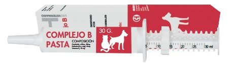 CHEMICAL IBERICA S.L. COMPLEJO B PASTA 30 ML (CH) Cover