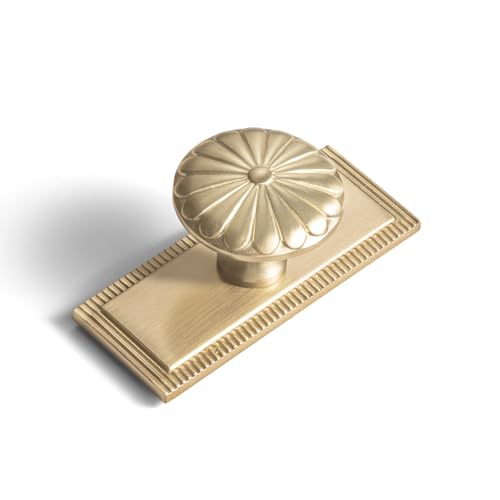 Goo-Ki 6-Pack Champagne Bronze Cabinet Backplate Set, 1.3 inch (34mm)