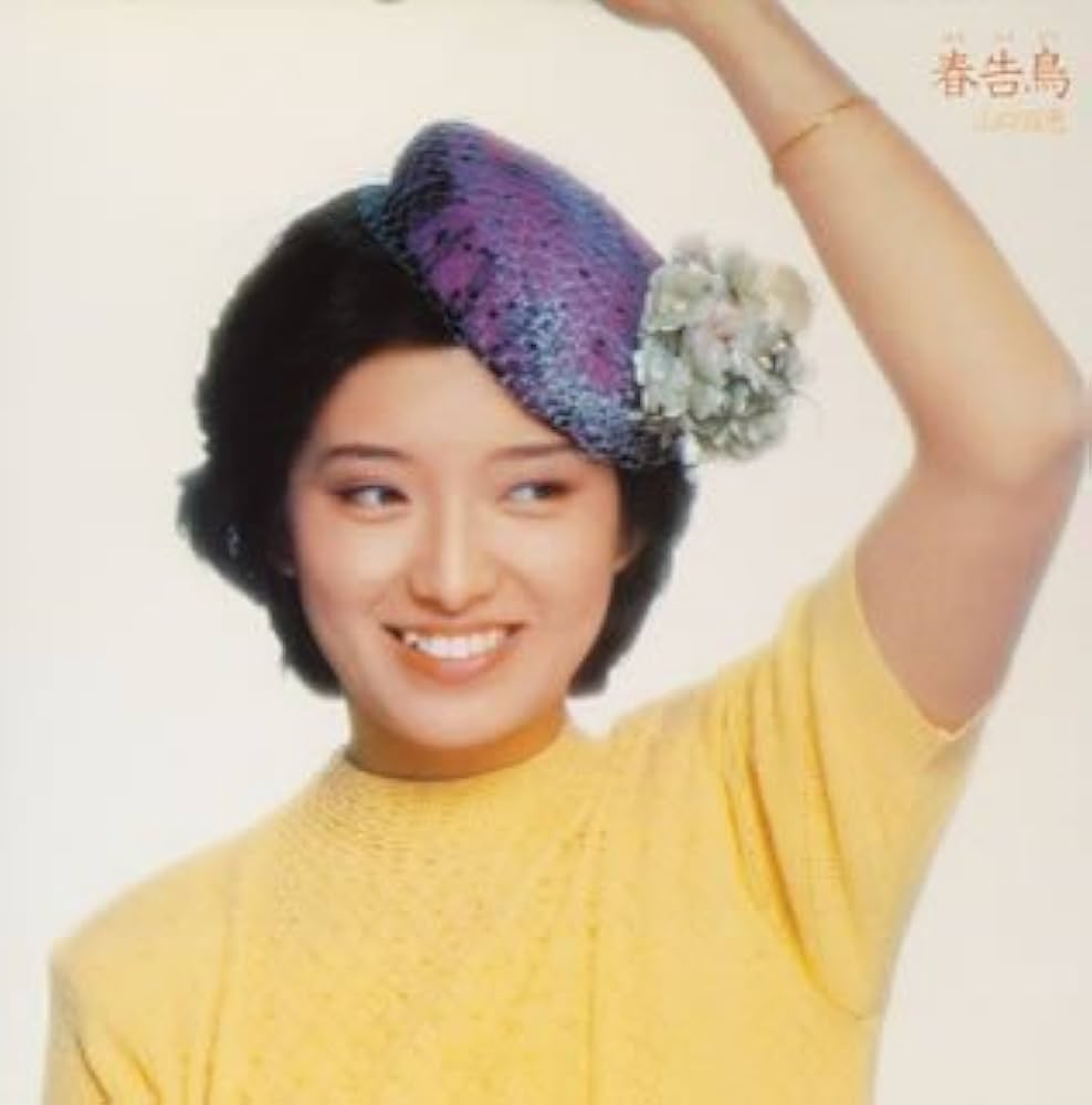 山口百恵 紙ジャケット CD 全22巻 山口百恵 紙ジャケット CD 全22巻