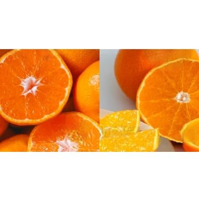みかん+まどんな 人気2品種食べ比べ (各2kg)(D70-36)