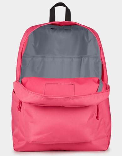 JANSPORT Unisex-Adult Right Pack Backpack