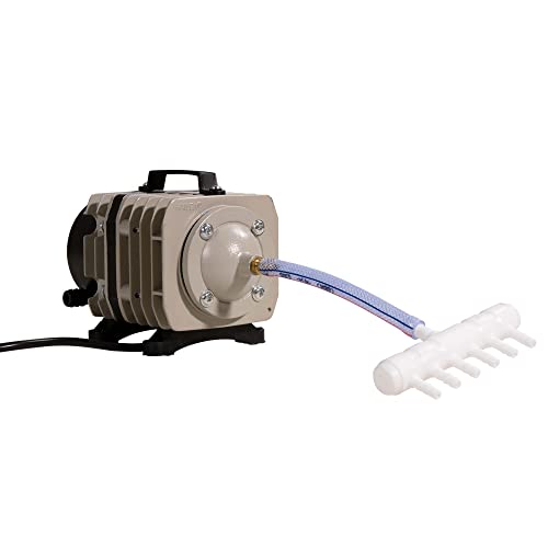 AquaForte luchtpomp/zuigercompressor, verschillende uitvoeringen - Afbeelding 6